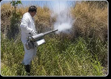 Pest control
